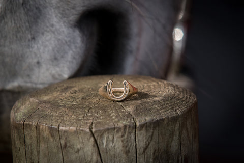 Horse Shoe Ring - 9ct Gold - Solid Shank