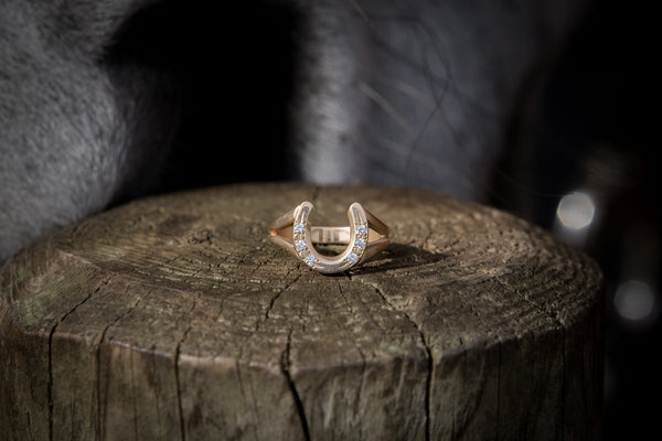 Horse Shoe Ring - 9ct Gold - Split Shank - Diamonds